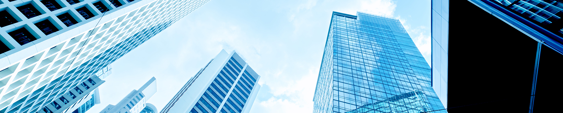 banner lĩnh vực hoạt động