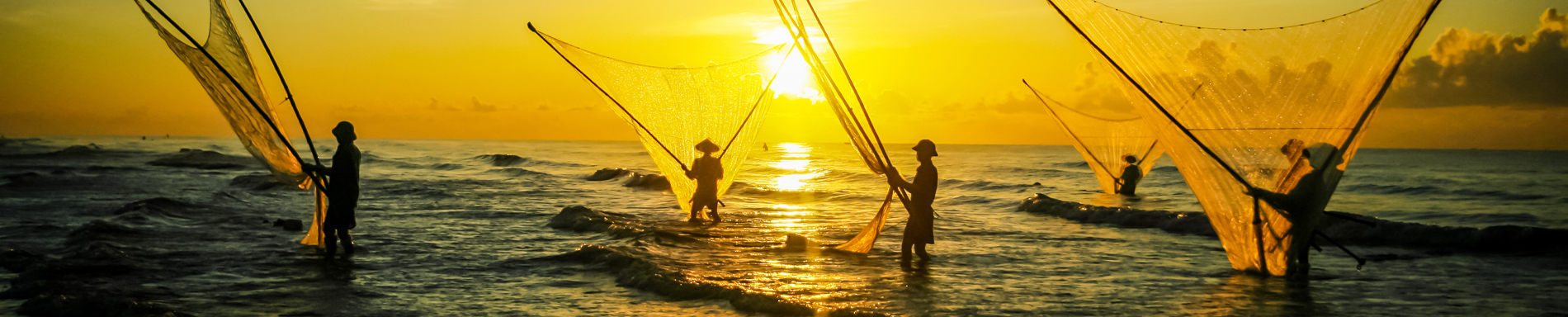 banner giới thiệu