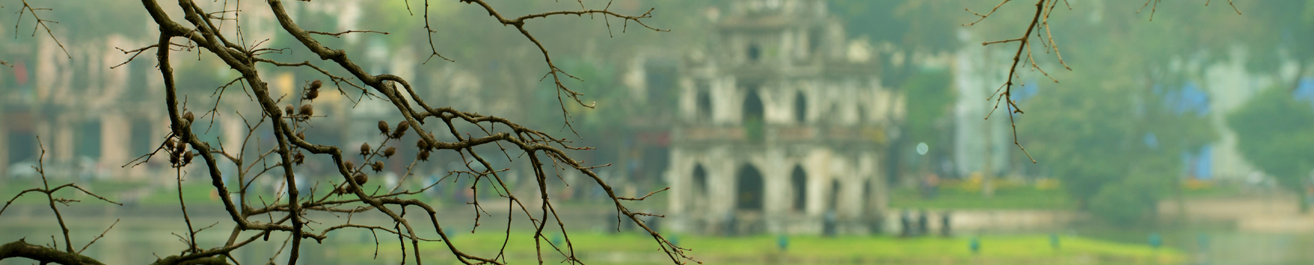 banner lĩnh vực hoạt động